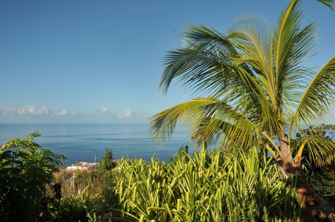 Mango Island Lodges Saint Joseph 외부 사진